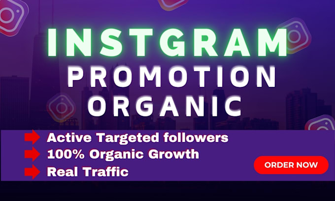 Gig Preview - Instagram marketing for fast organic growth