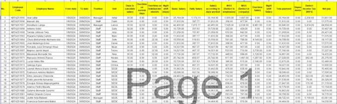 Gig Preview - Do any task related to payroll