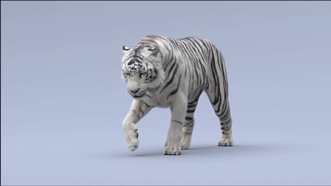 Bestseller - render photorealistic 3d animal animation, 3d animal rigging, 3d animal design