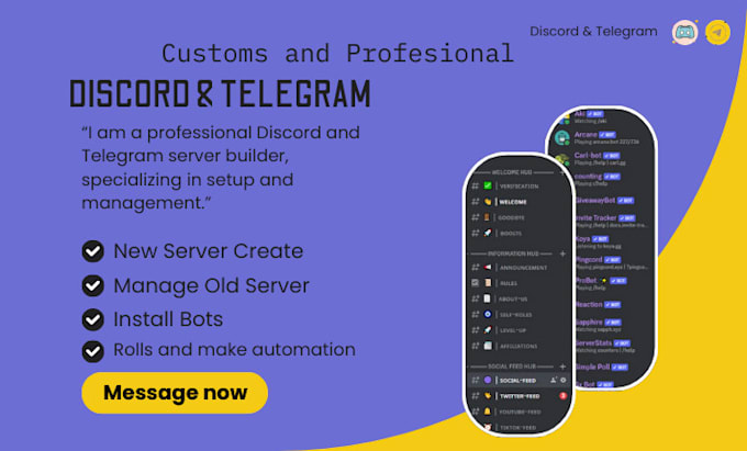 Gig Preview - Help to build your  discord and telegram server and manage it