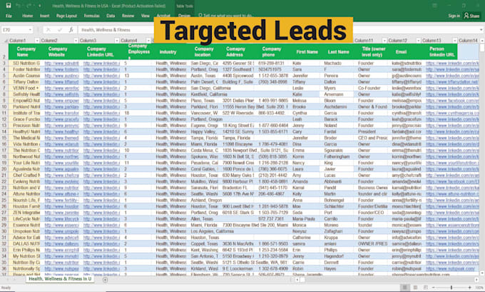 Gig Preview - Do targeted lead generation with web research and email finding