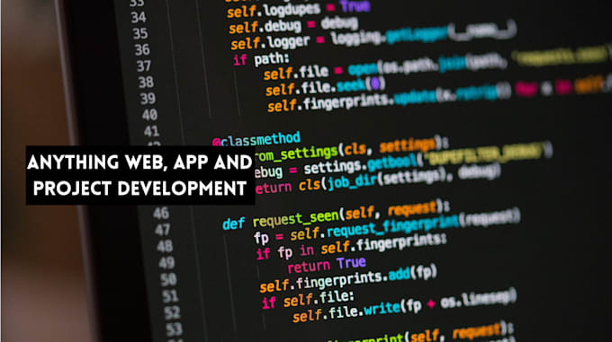 Gig Preview - Develop web application or any coding project