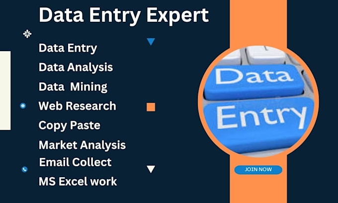 Gig Preview - Do data entry, copy paste, web research, excel data entry