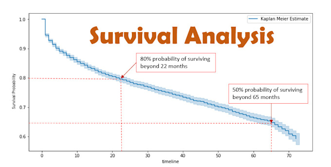 Gig Preview - Conduct survival analysis with cox regression for your research or thesis