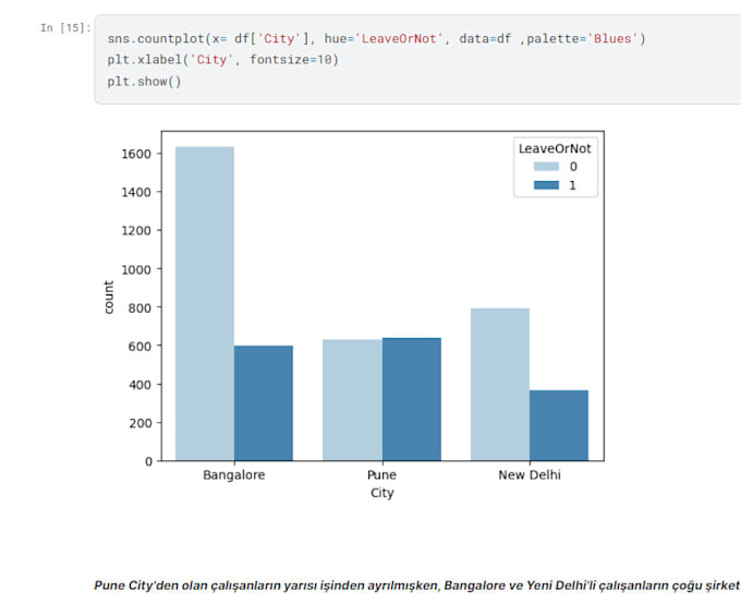 Gig Preview - Analyze and visualize data using python