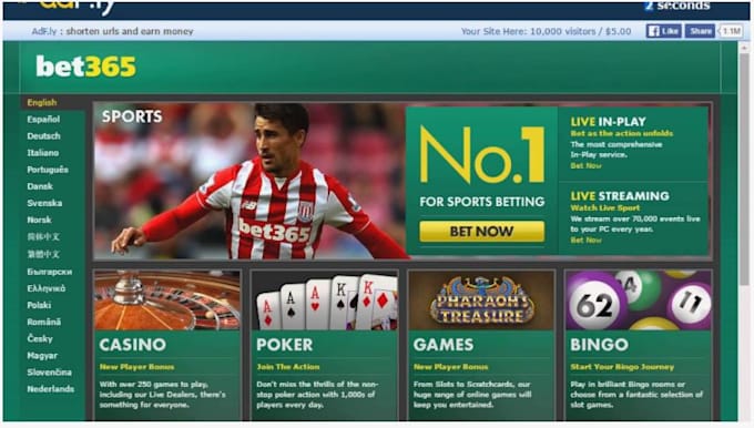 Gig Preview - Sport bet website gamble site crash game website crypto bet website slot bet app