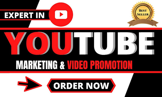 Gig Preview - Do super fast organic youtube video promotion and marketing