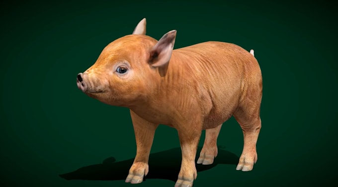 Gig Preview - Do 3d animal model, animal animation with realistic fur, xgen hair and texture,