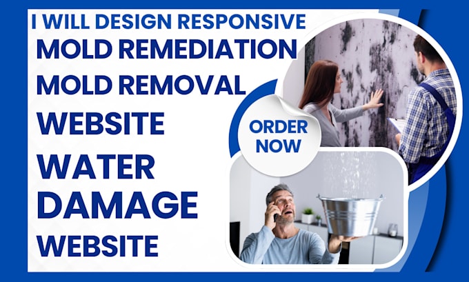 Gig Preview - Do mold remediation mold removal website asbestos removal water damage website