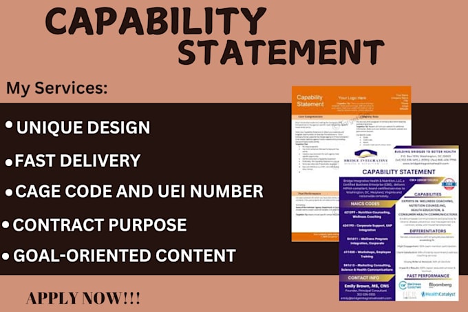 Gig Preview - Design an outstanding government and business capability statement