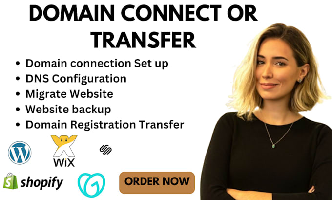 Gig Preview - Connect, move, fix, transfer, migrate domain to wordpress, wix, shopify website