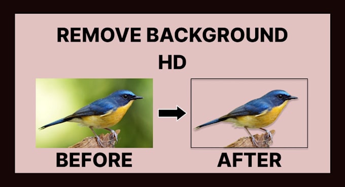 Bestseller - selling background removal services that are able to compete in the world market