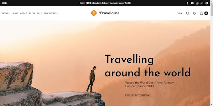 Gig Preview - Design a stunning travel shopify store travel accessories store booking website