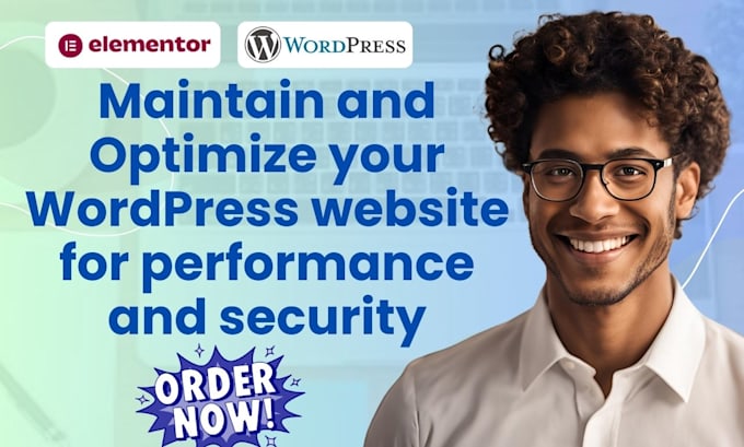 Gig Preview - Maintain and optimize your wordpress website for performance and security