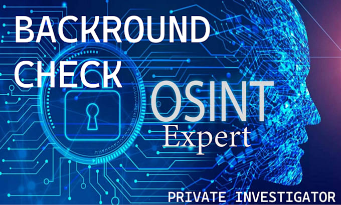 Gig Preview - Osint private investor on your targeted check background