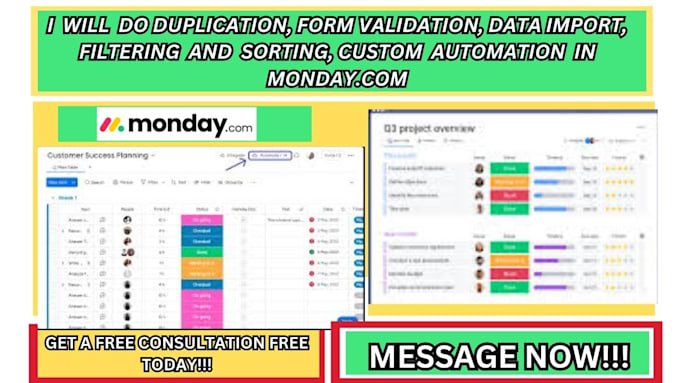 Gig Preview - Do bulk edit form validation data duplication   custom automation on monday