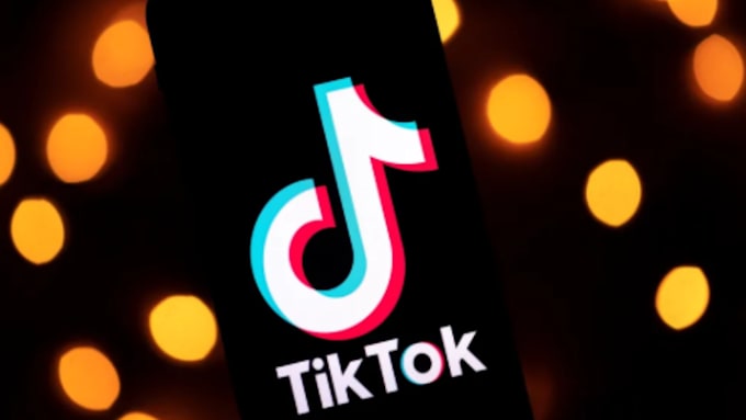 Gig Preview - Manage to grow and promote your tiktok followers organically