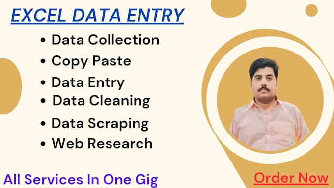 Gig Preview - Do excel data entry, contact list ,data collection, copy paste, web research