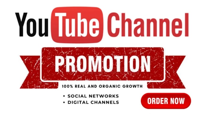 Gig Preview - Do youtube channel promotion and monetization