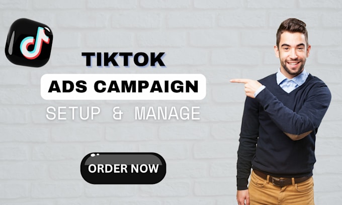 Gig Preview - Set up and manage tiktok ads for leads and sales