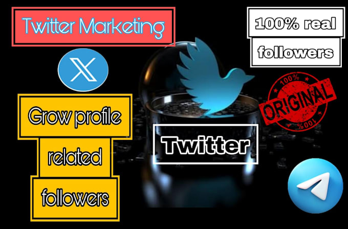 Gig Preview - Do twitter marketing and grow your profile followers