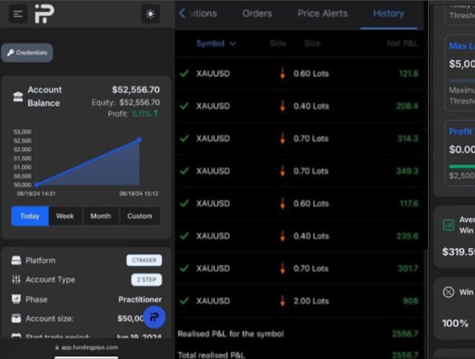 Gig Preview - Prop trading account challenge successfully to live