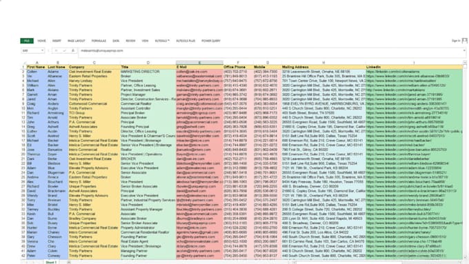 Gig Preview - Do data entry, excel sheet from home, web research, page typing, content typing