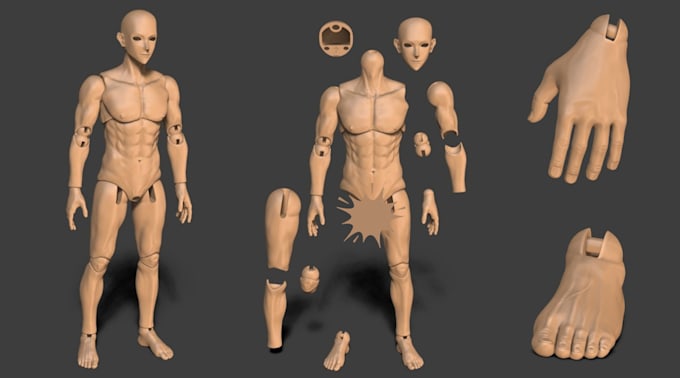 Gig Preview - Sculpt 3d bjd articulated model, action figurine for 3d printing, 3d flexi toy