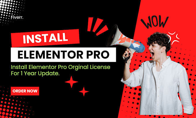 Gig Preview - Install wordpress elementor pro 1 year licences service