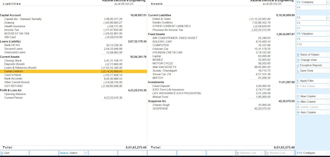 Gig Preview - Expert in tender filling, data entry, accounting, gst filing