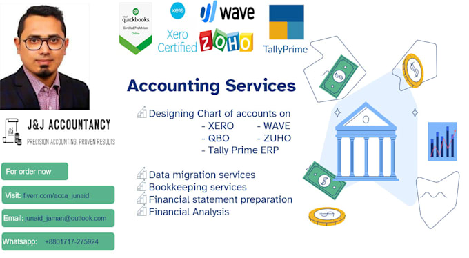 Gig Preview - Set up your chart of accounts on quickbook, xero, wave and tally