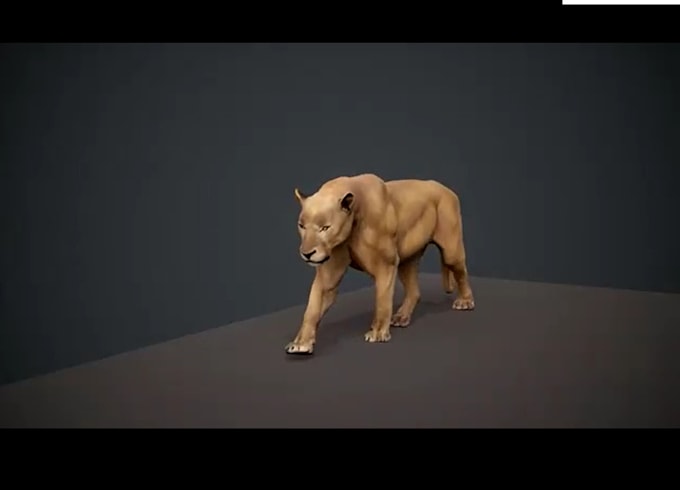 Gig Preview - Realistic 3d animal animation, 3d model 3d rigging, xgen fur character animation