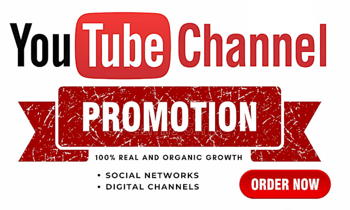 Gig Preview - Youtube video promotion for organic channel growth