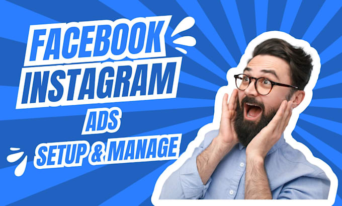 Gig Preview - Setup and manage your facebook and instagram ads campaign