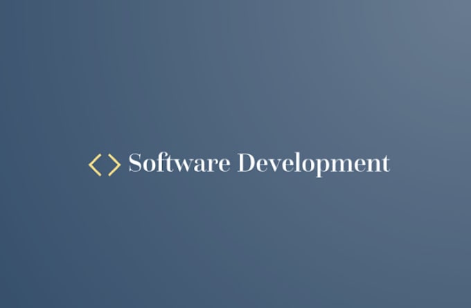 Gig Preview - Provide professional software development services