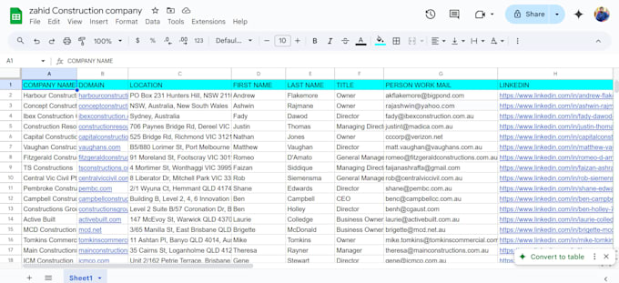 Gig Preview - Do excel manual copy, CRM entry, email sorting