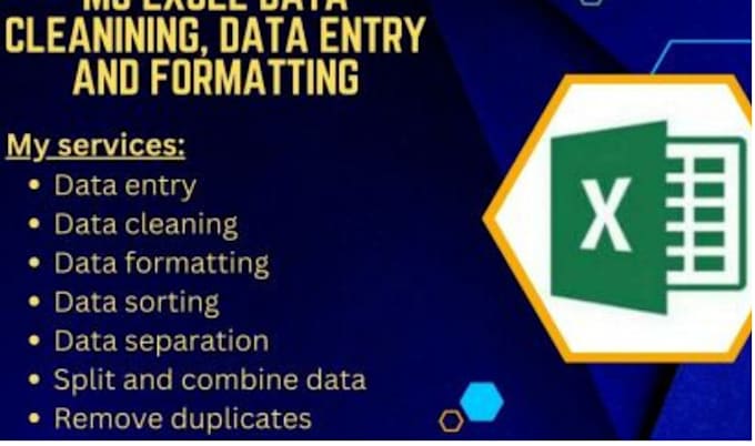 Gig Preview - Clean, formate, merge, split excel data