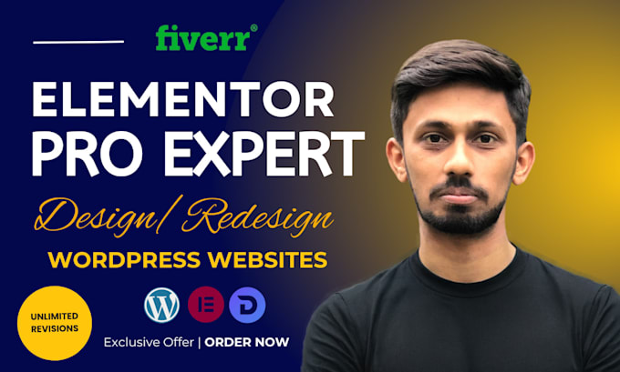 Gig Preview - Design professional wordpress websites using elementor pro