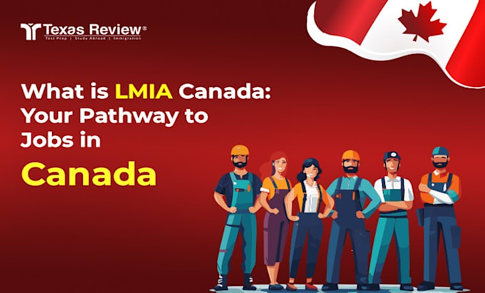 Gig Preview - Help you apply for lmia, work permit and secure your visa in canada