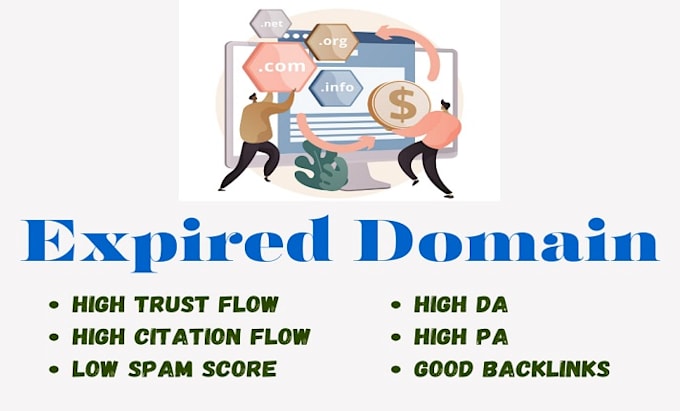 Gig Preview - Research expired domain names having high DR 30 or da, cheap domain research