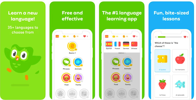 Gig Preview - Develop language learning app educational app translator app ai elearning app