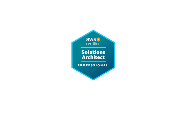 Gig Preview - Be your AWS certified solution architect professional