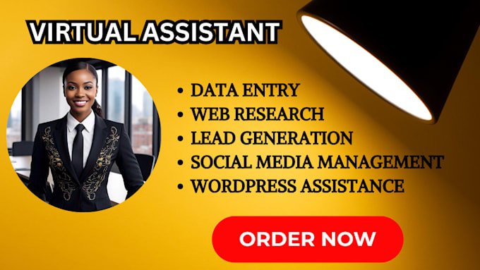 Gig Preview - Be your virtual assistant for data entry minning, copy paste, web rsearch