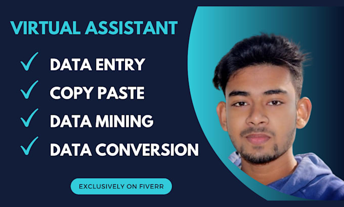 Gig Preview - Be your virtual assistant for data entry, web research