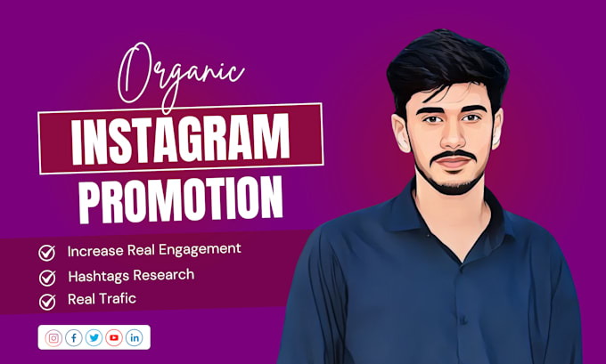 Gig Preview - Professionally promote and grow your instagram account