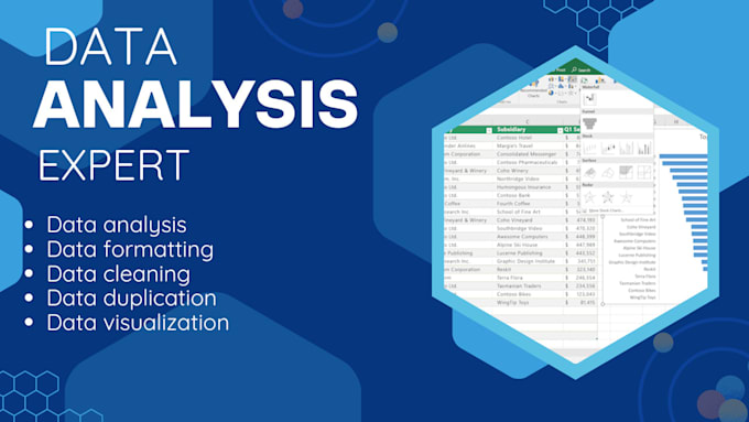 Gig Preview - Do excell data analysis, formatting and data cleaning