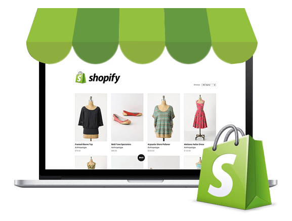 Gig Preview - Customize, fix and update shopify website