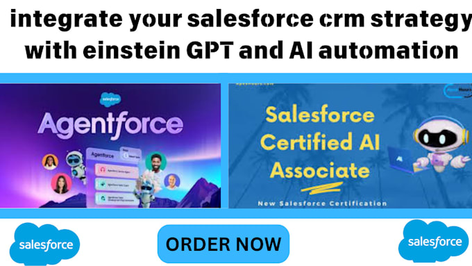 Gig Preview - Integrate your salesforce crm strategy with einstein gpt and ai automation