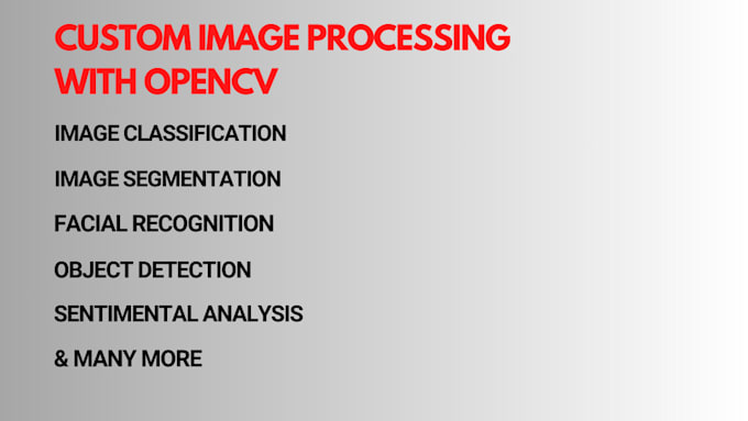 Gig Preview - Custom image processing solution with python opencv