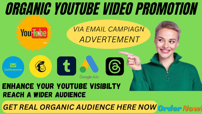 Gig Preview - Setup and manage your youtube ads video campaign advertisement